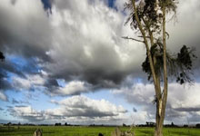 西甲第7輪塞維利亞2-0西班牙人 武磊首發德萊尼染紅被罰下.