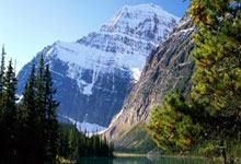 金年会：克洛普解釋半場換下麥卡利斯特.