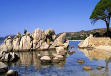 金年会体育：賽後回擊記者！阿萊格裏：我只是回答了一個想要換教練的家夥！.